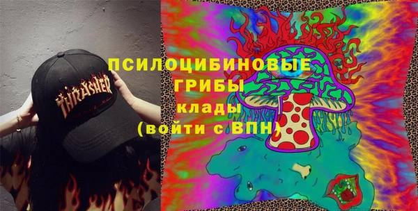 дживик Аркадак