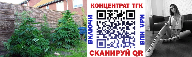 закладка  Переславль-Залесский  Дистиллят ТГК вейп с тгк 