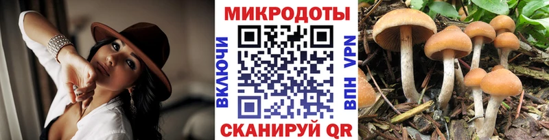 Псилоцибиновые грибы Cubensis  как найти закладки  Переславль-Залесский 